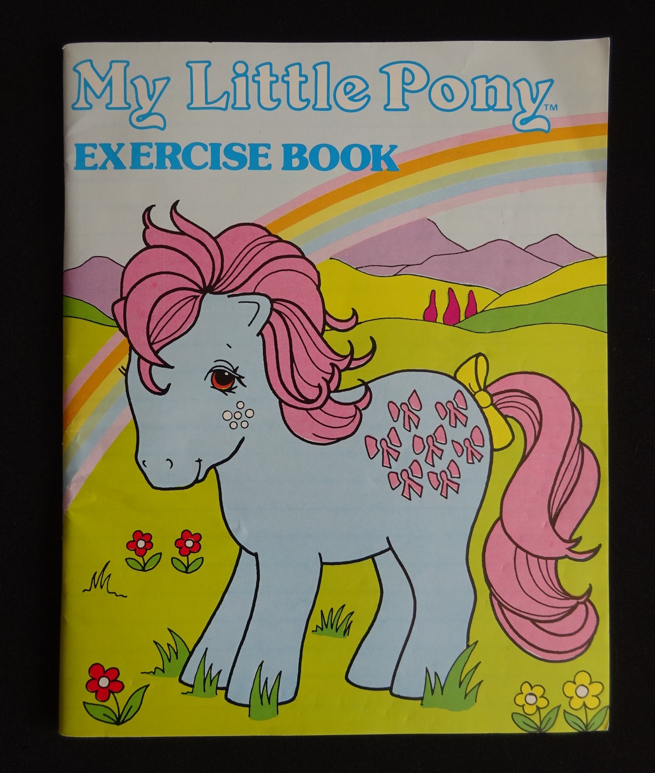 G1 exercise book